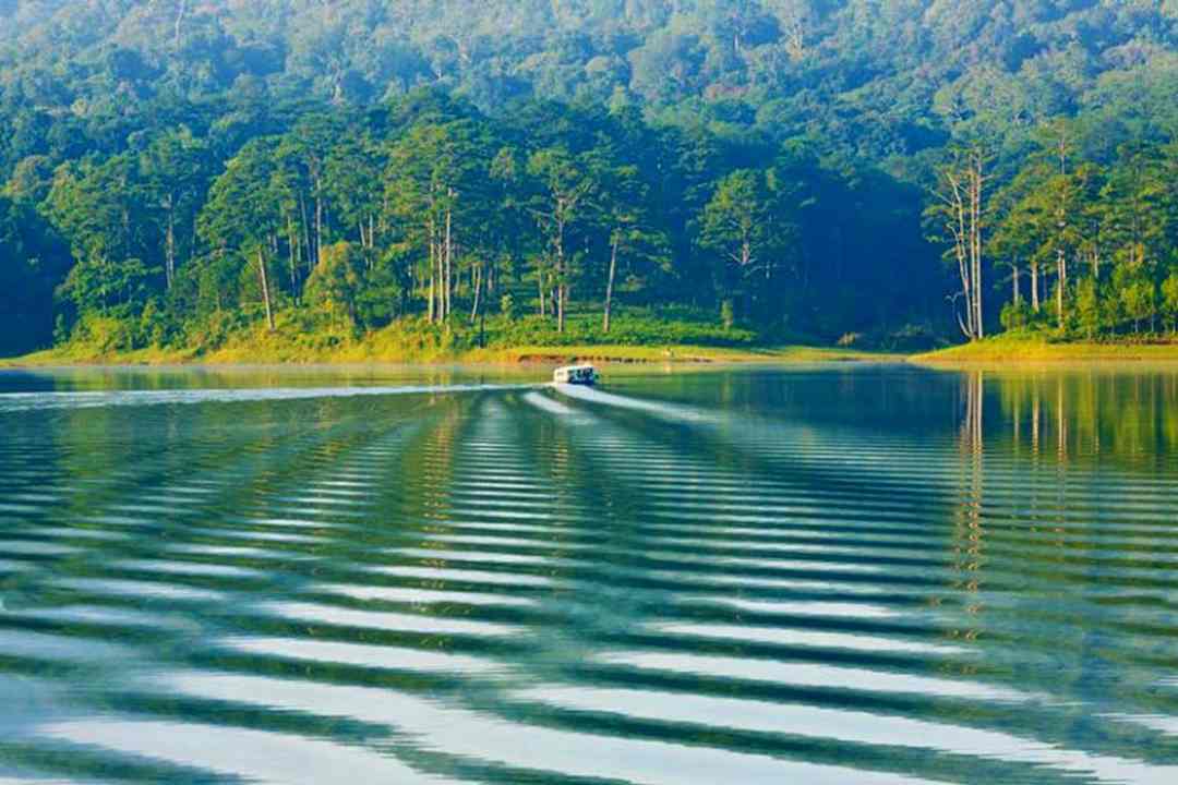 Hồ Tuyền Lâm được nhiều người yêu thích bởi cảnh vật như thiên đường